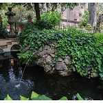 Phi Canalgrande Modène